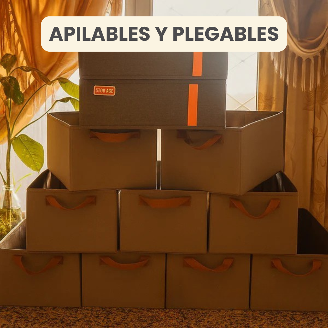 Organizadores de Ropa Plegables (Comprá 1 y lleváte 3)